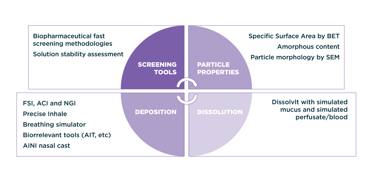 Inhalation - Hovione characterization infographic