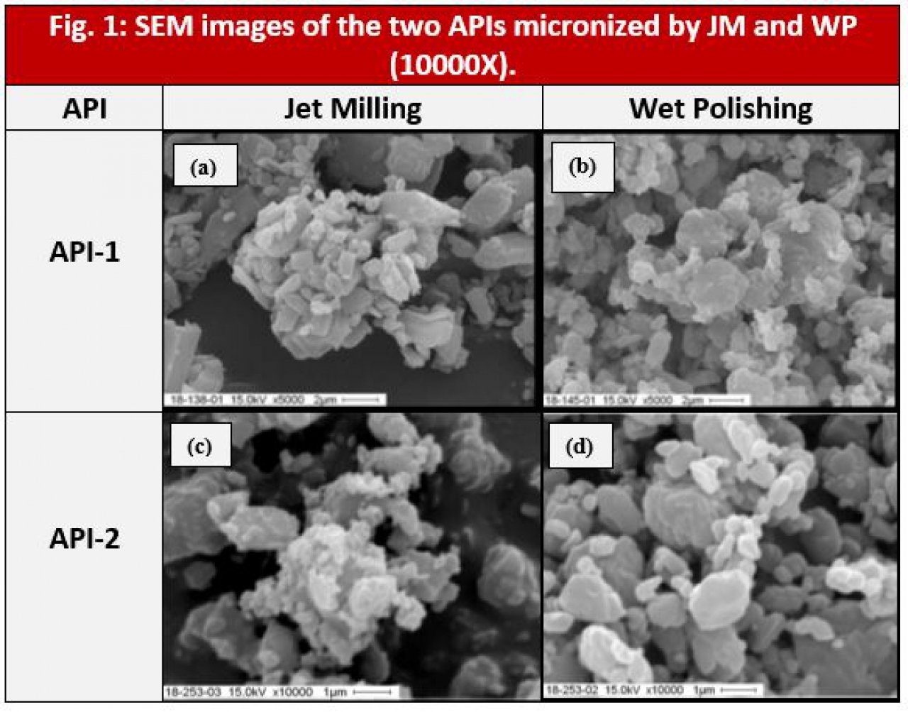 Inhalation Drug Delivery Particle Size Reduction | Hovione